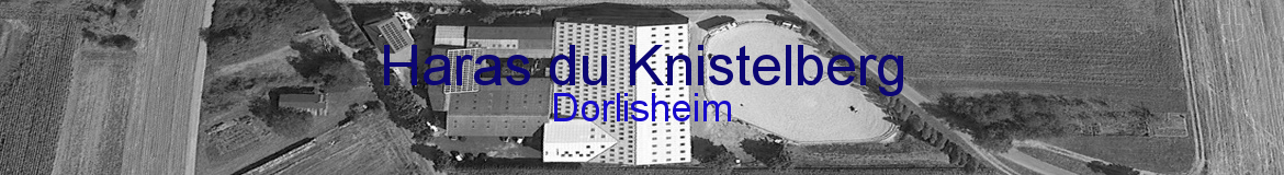 Haras du Knistelberg